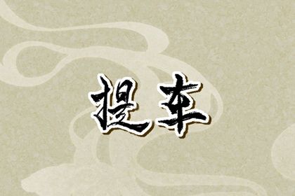 2025年01月25日提车日子如何 提车吉利吗