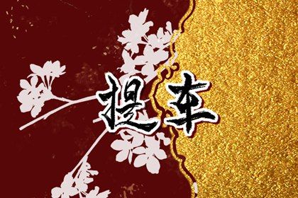2025年农历腊月初七是提车好日子吗 今日买新车好吗