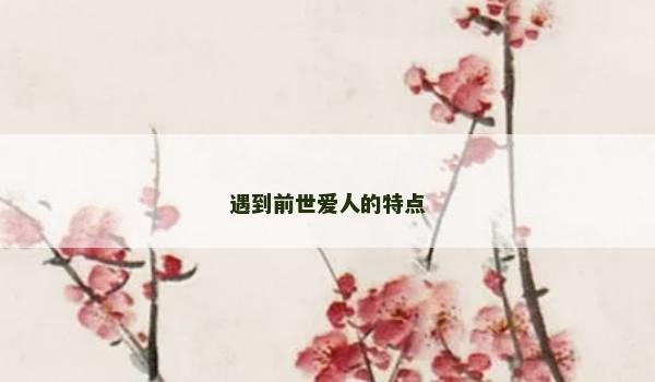 遇到前世爱人的特点