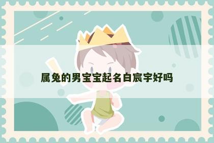 属兔的男宝宝起名白宸宇好吗