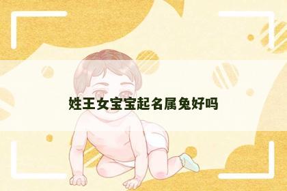 姓王女宝宝起名属兔好吗