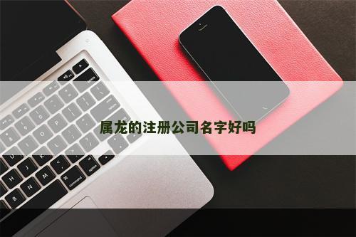 属龙的注册公司名字好吗