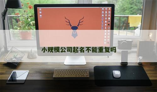 小规模公司起名不能重复吗