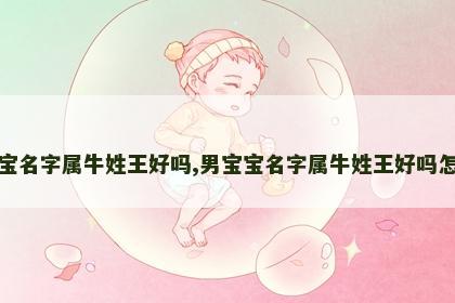 男宝宝名字属牛姓王好吗,男宝宝名字属牛姓王好吗怎么取