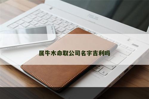 属牛木命取公司名字吉利吗