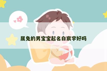 属兔的男宝宝起名白宸宇好吗