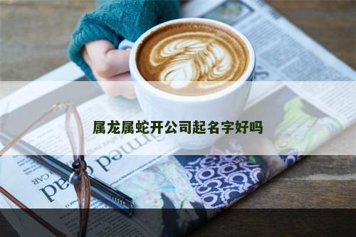 属龙属蛇开公司起名字好吗