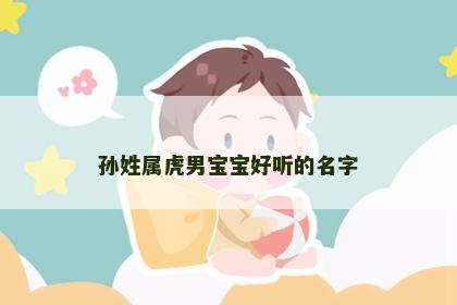 孙姓属虎男宝宝好听的名字