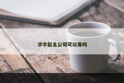 华字起名公司可以用吗