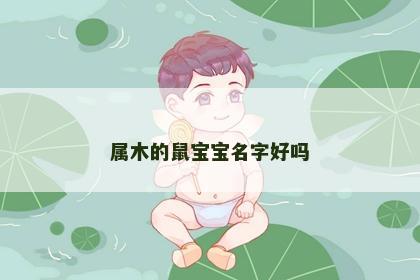 属木的鼠宝宝名字好吗