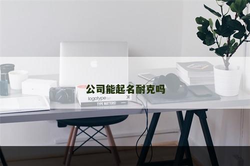 公司能起名耐克吗