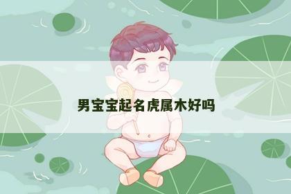 男宝宝起名虎属木好吗