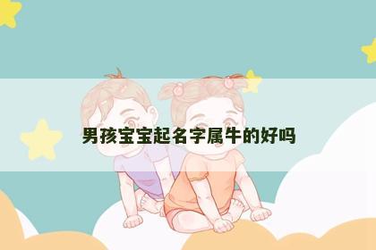 男孩宝宝起名字属牛的好吗