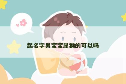 起名字男宝宝属猴的可以吗