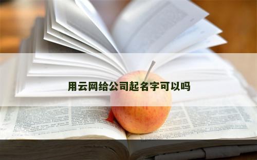 用云网给公司起名字可以吗