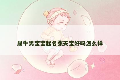 属牛男宝宝起名张天宝好吗怎么样