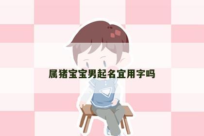 属猪宝宝男起名宜用字吗