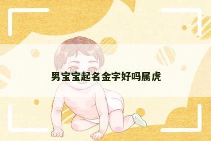 男宝宝起名金字好吗属虎