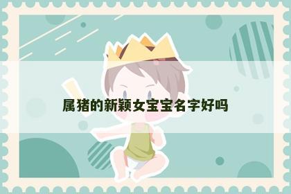 属猪的新颖女宝宝名字好吗