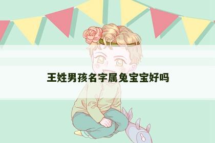 王姓男孩名字属兔宝宝好吗