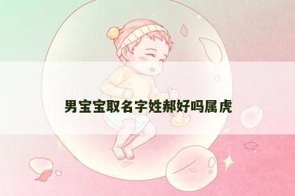 男宝宝取名字姓郝好吗属虎