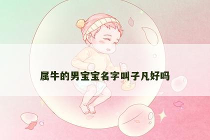 属牛的男宝宝名字叫子凡好吗