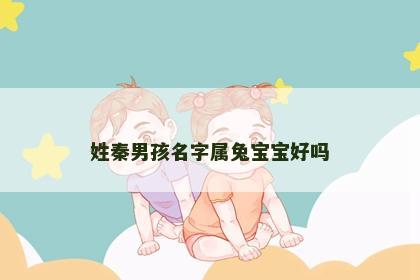 姓秦男孩名字属兔宝宝好吗