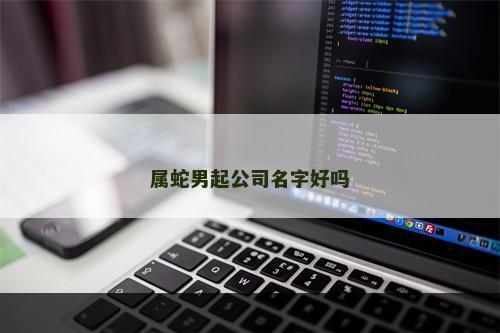 属蛇男起公司名字好吗