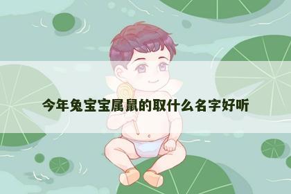 今年兔宝宝属鼠的取什么名字好听