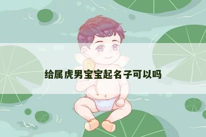 给属虎男宝宝起名子可以吗