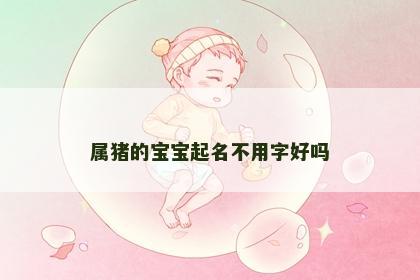 属猪的宝宝起名不用字好吗