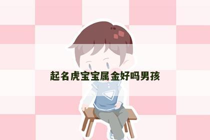 起名虎宝宝属金好吗男孩
