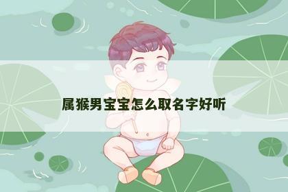 属猴男宝宝怎么取名字好听