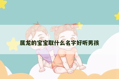 属龙的宝宝取什么名字好听男孩