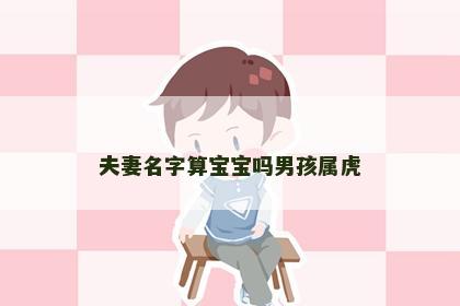 夫妻名字算宝宝吗男孩属虎