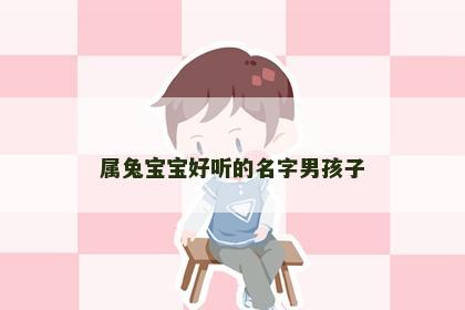 属兔宝宝好听的名字男孩子