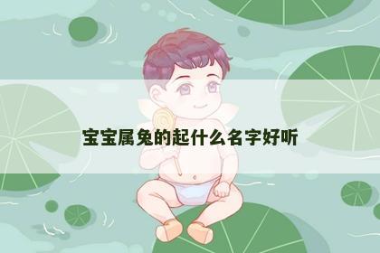 宝宝属兔的起什么名字好听