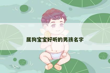 属狗宝宝好听的男孩名字