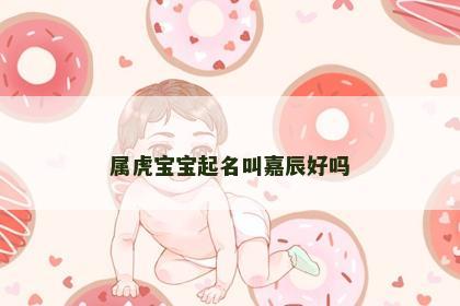 属虎宝宝起名叫嘉辰好吗