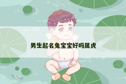 男生起名兔宝宝好吗属虎