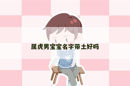 属虎男宝宝名字带土好吗