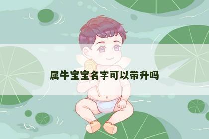 属牛宝宝名字可以带升吗