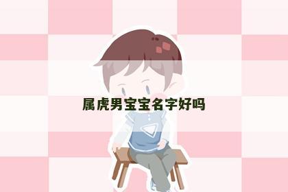 属虎男宝宝名字好吗