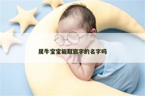 属牛宝宝能取宸字的名字吗