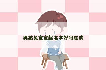 男孩兔宝宝起名字好吗属虎
