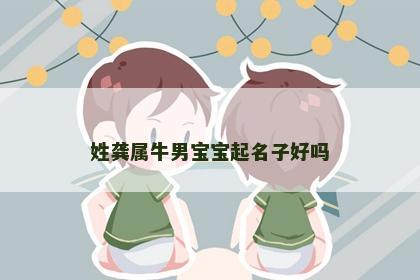 姓龚属牛男宝宝起名子好吗