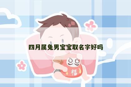 四月属兔男宝宝取名字好吗