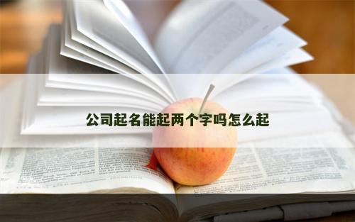 公司起名能起两个字吗怎么起