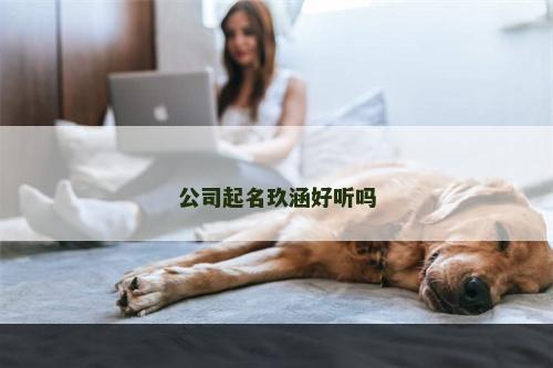 公司起名玖涵好听吗