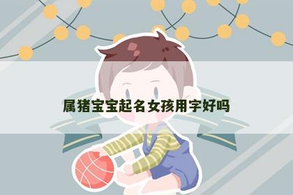 属猪宝宝起名女孩用字好吗
